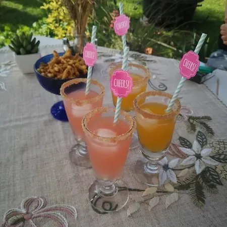 Апартаменты Chez Nadine Roquecor